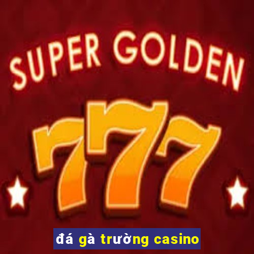 đá gà trường casino