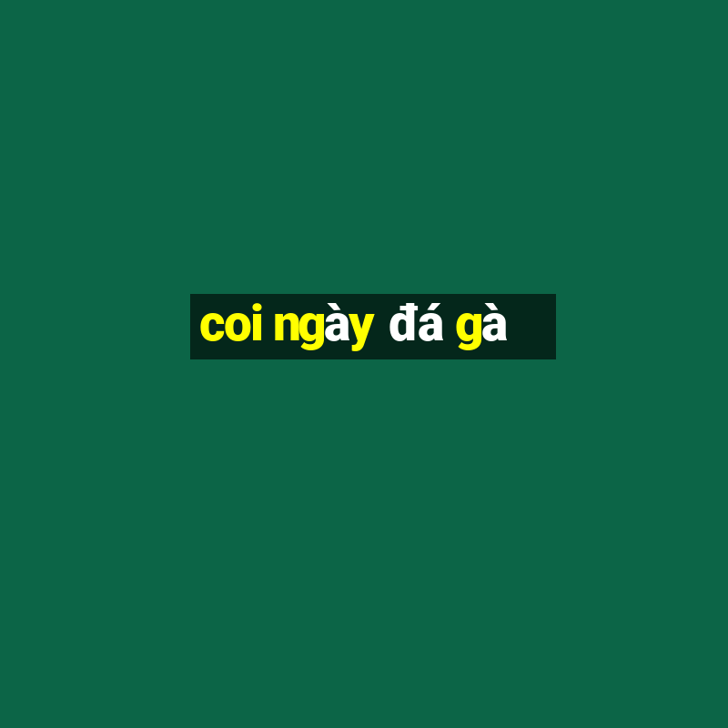 coi ngày đá gà