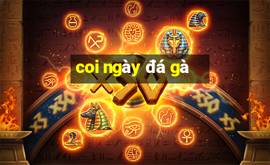 coi ngày đá gà