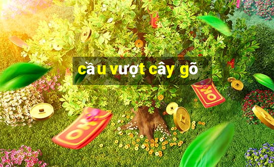 cầu vượt cây gõ