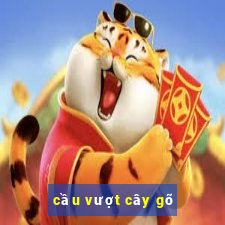 cầu vượt cây gõ