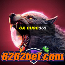 ca cuoc365