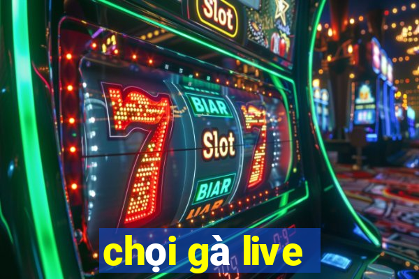 chọi gà live