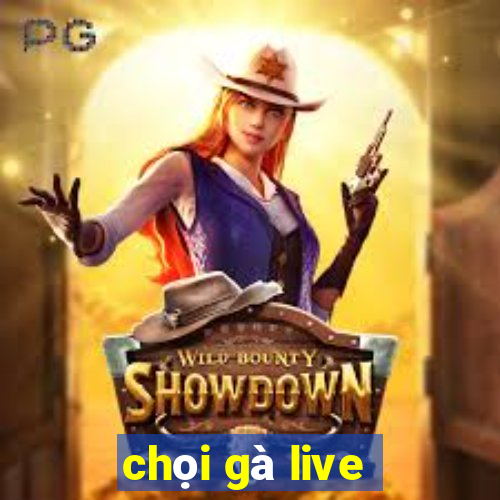 chọi gà live