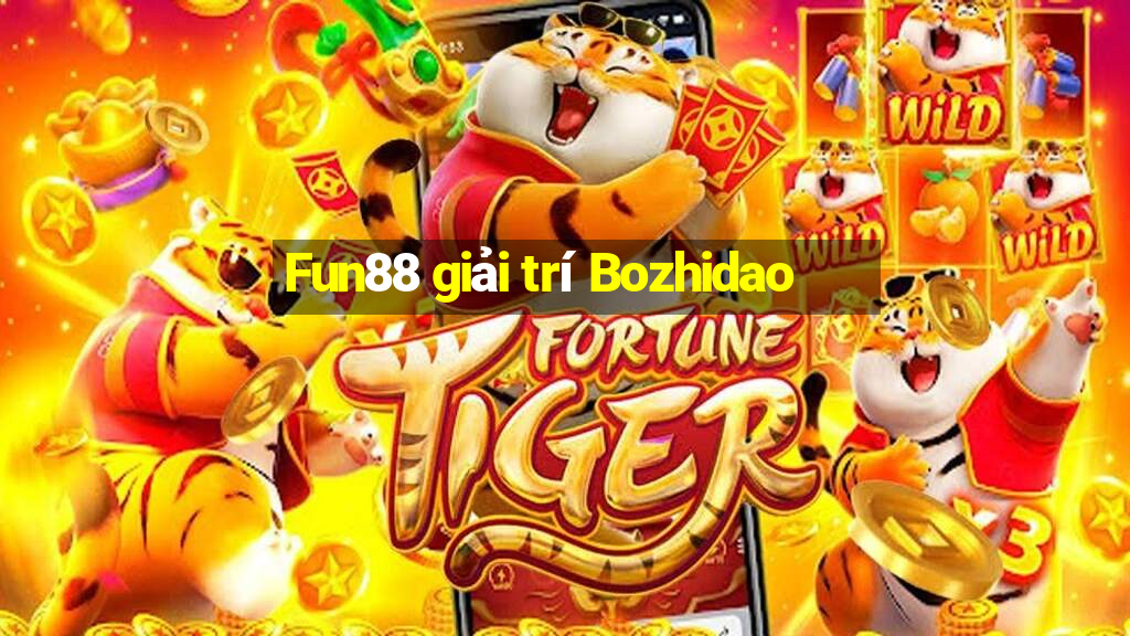 Fun88 giải trí Bozhidao