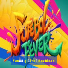 Fun88 giải trí Bozhidao