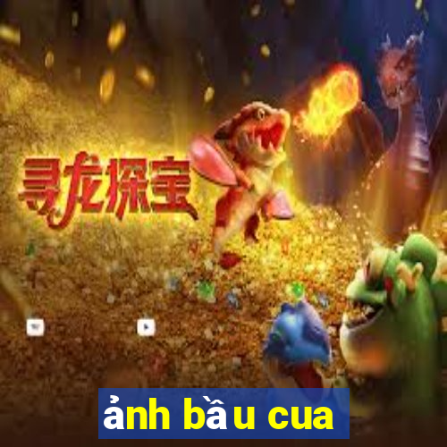 ảnh bầu cua