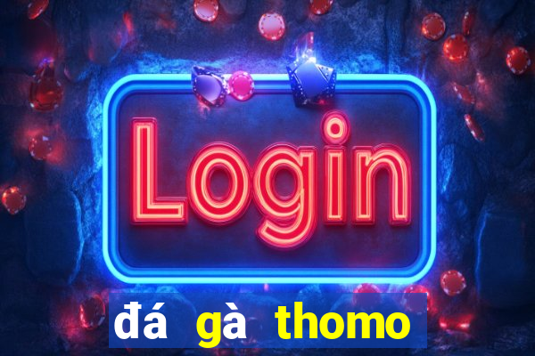 đá gà thomo xám thần