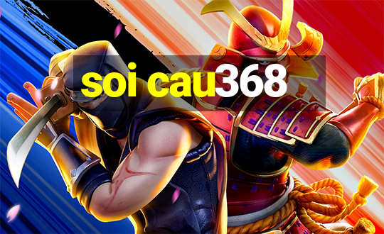 soi cau368