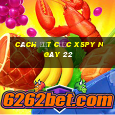 Cách đặt cược XSPY ngày 22