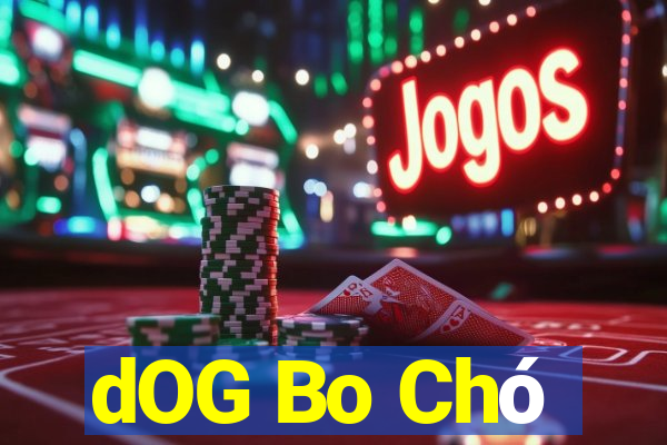 dOG Bo Chó