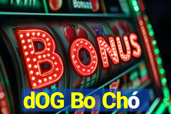 dOG Bo Chó