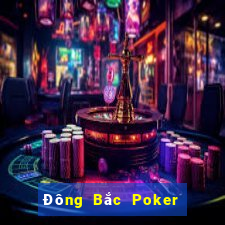 Đông Bắc Poker Bốn chục Một