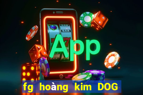 fg hoàng kim DOG Móng Cái