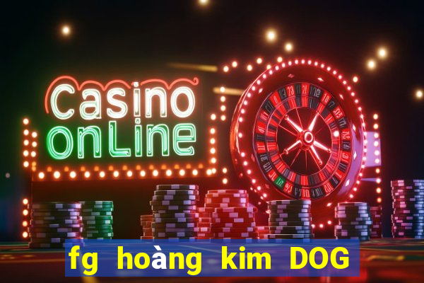 fg hoàng kim DOG Móng Cái