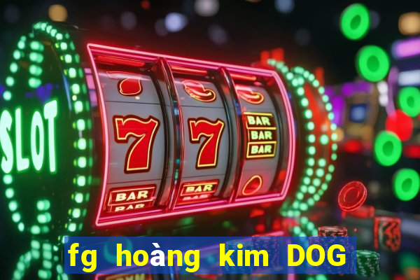 fg hoàng kim DOG Móng Cái