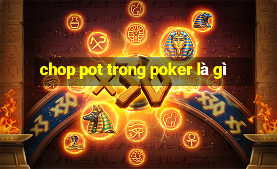 chop pot trong poker là gì