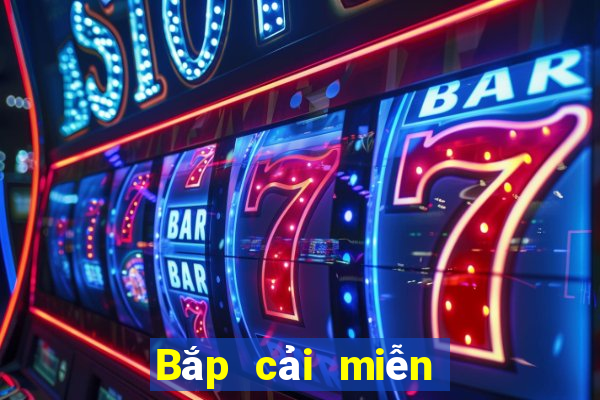 Bắp cải miễn phí Net