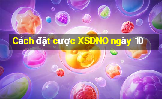 Cách đặt cược XSDNO ngày 10