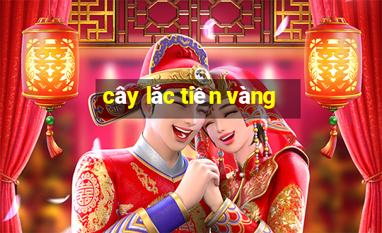 cây lắc tiền vàng