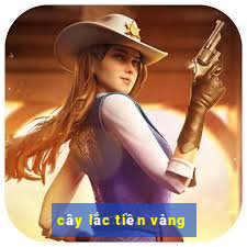 cây lắc tiền vàng