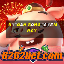 dự đoán bóng đá đêm nay