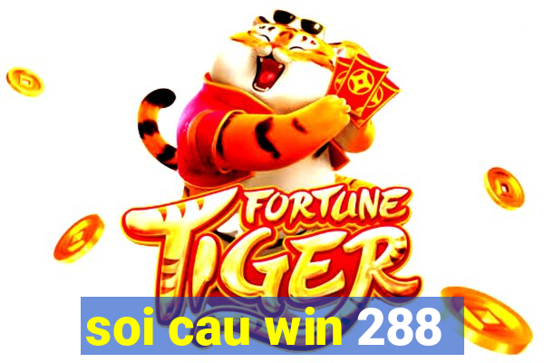 soi cau win 288