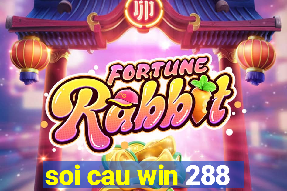 soi cau win 288