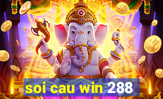 soi cau win 288