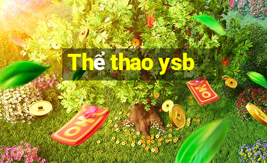 Thể thao ysb