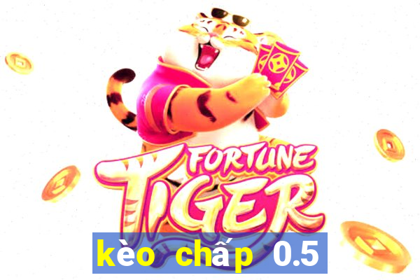 kèo chấp 0.5 là gì