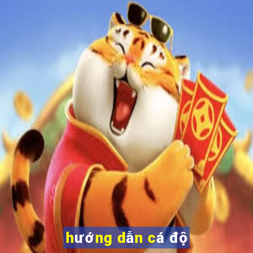 hướng dẫn cá độ