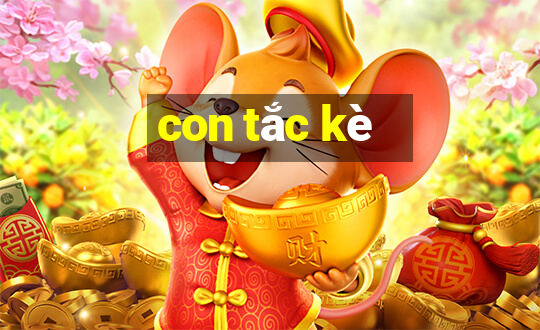 con tắc kè