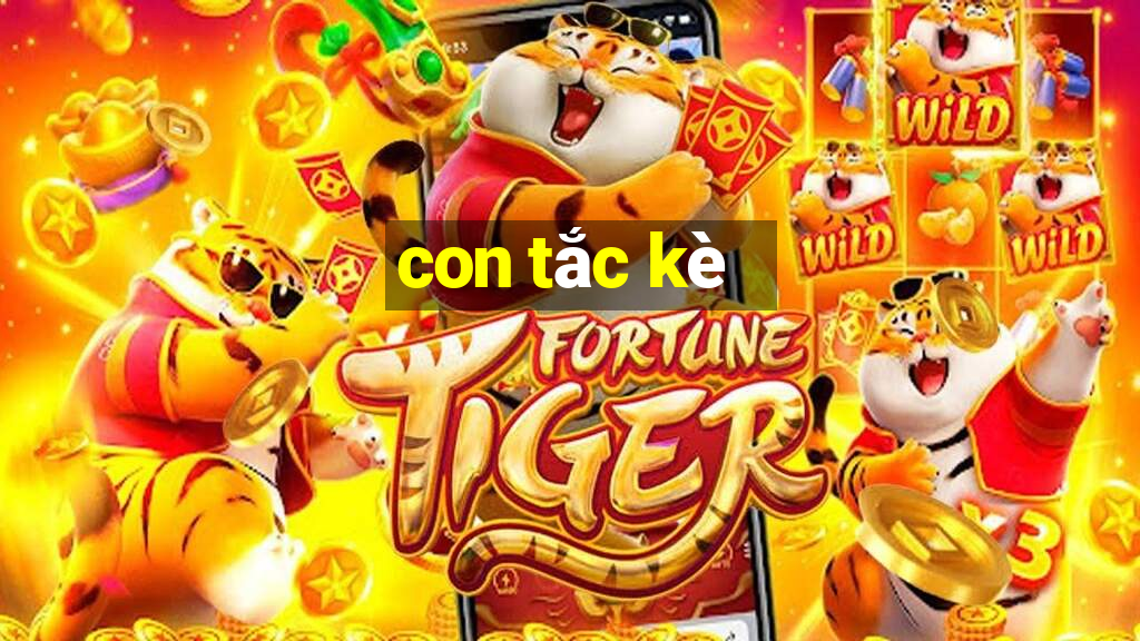 con tắc kè