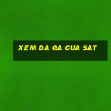 xem da ga cua sat