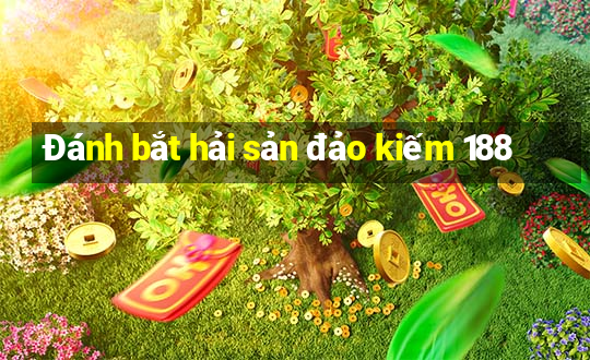 Đánh bắt hải sản đảo kiếm 188