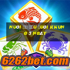 nuôi đề đầu đuôi khung 3 ngày