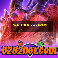 soi cau 247com