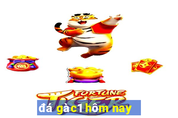 đá gà c1 hôm nay