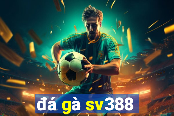 đá gà sv388