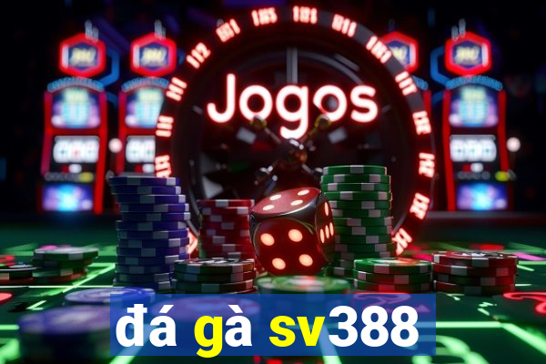 đá gà sv388