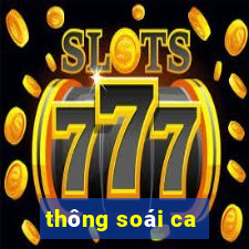 thông soái ca