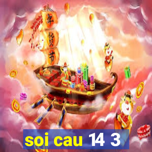 soi cau 14 3