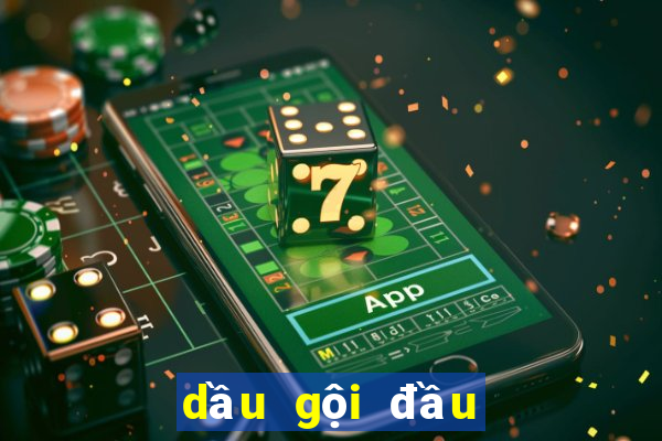 dầu gội đầu lâu bết tóc