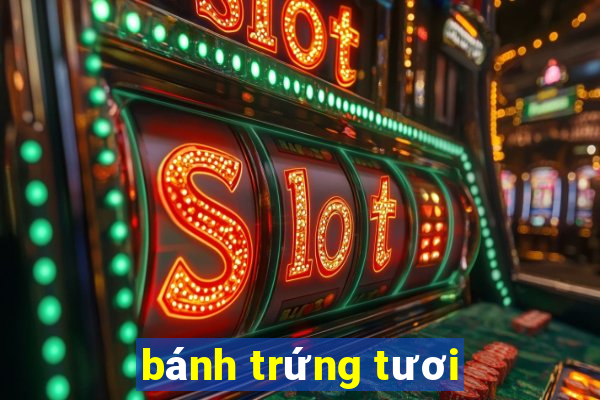 bánh trứng tươi