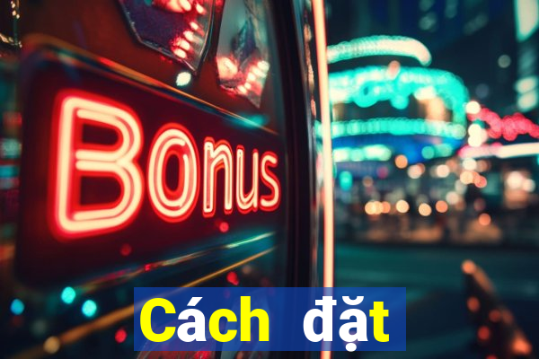 Cách đặt cược XSST ngày 19