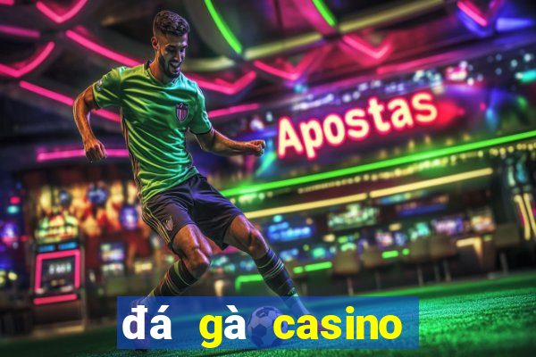 đá gà casino hôm nay