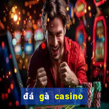 đá gà casino hôm nay