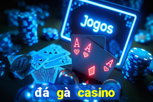 đá gà casino hôm nay