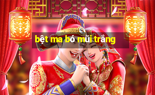 bệt ma bó mũi trắng